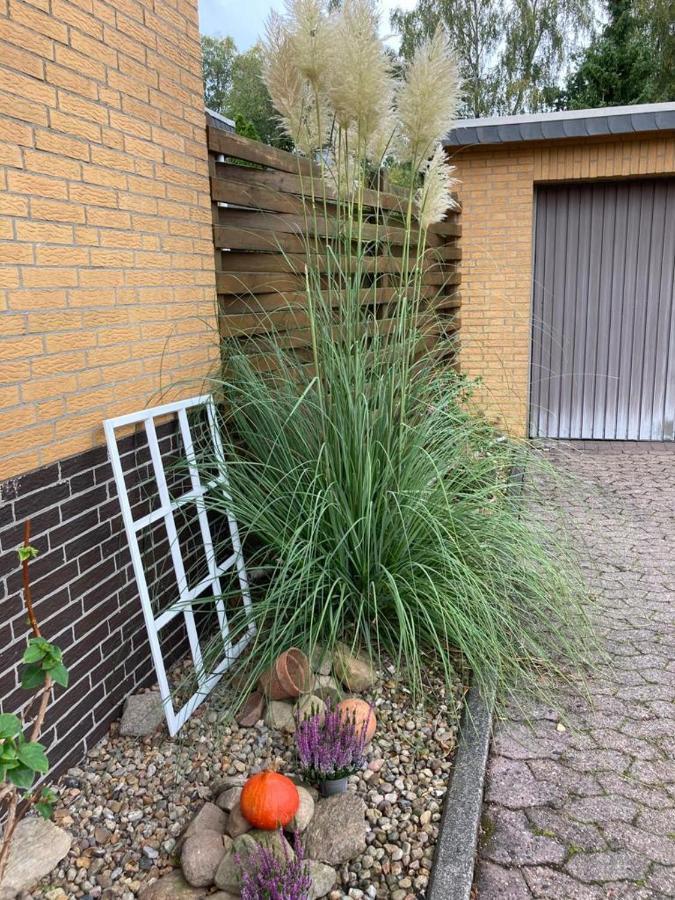 Ferienwohnung Schultze Munster Exterior foto